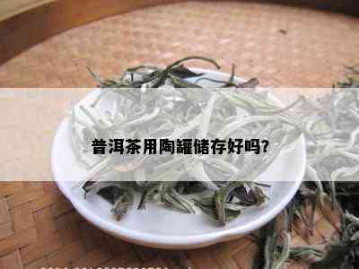 普洱茶用陶罐储存好吗？