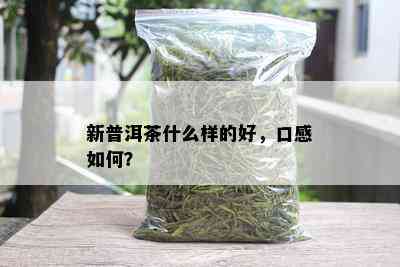 新普洱茶什么样的好，口感如何？