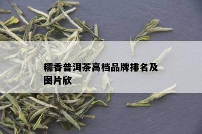 糯香普洱茶高档品牌排名及图片欣