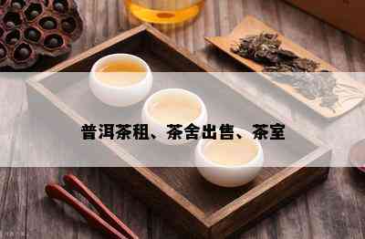 普洱茶租、茶舍出售、茶室