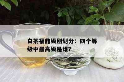 白茶福鼎级别划分：四个等级中更高级是谁？