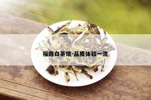 福鼎白茶馆-品质体验一流