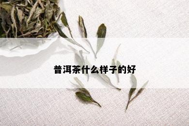 普洱茶什么样子的好