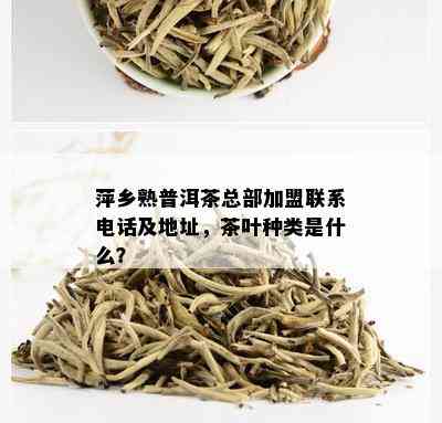 萍乡熟普洱茶总部加盟联系电话及地址，茶叶种类是什么？