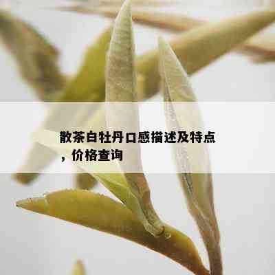 散茶白牡丹口感描述及特点，价格查询