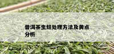 普洱茶虫蛀处理方法及黄点分析