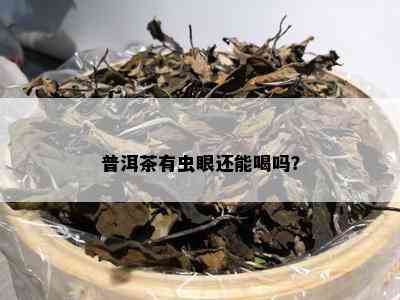 普洱茶有虫眼还能喝吗？