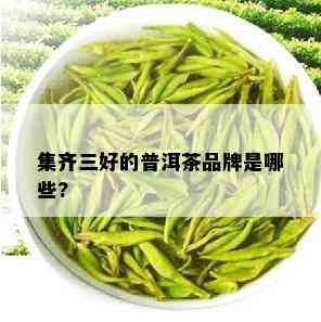 集齐三好的普洱茶品牌是哪些?