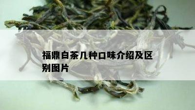 福鼎白茶几种口味介绍及区别图片