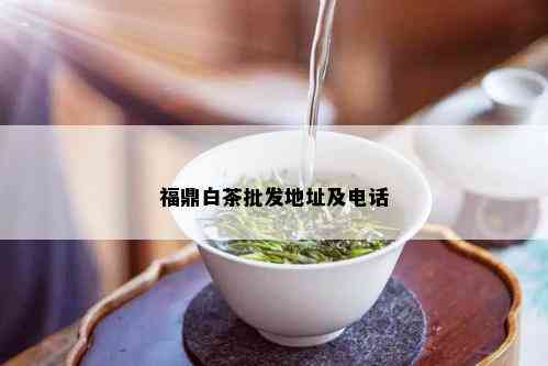 福鼎白茶批发地址及电话