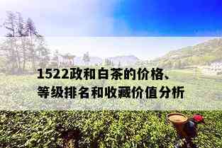 1522政和白茶的价格、等级排名和收藏价值分析