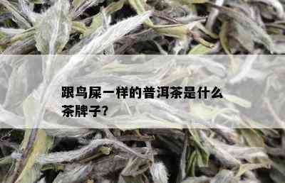 跟鸟屎一样的普洱茶是什么茶牌子？