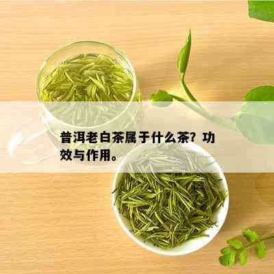 普洱老白茶属于什么茶？功效与作用。