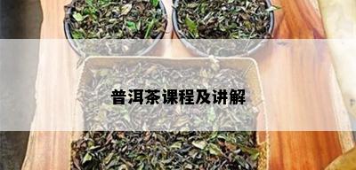 普洱茶课程及讲解