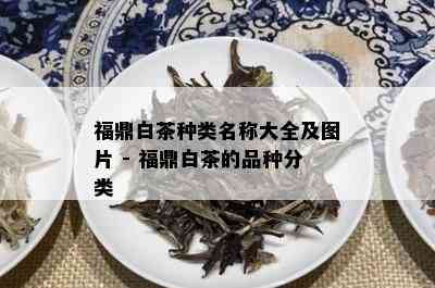 福鼎白茶种类名称大全及图片 - 福鼎白茶的品种分类