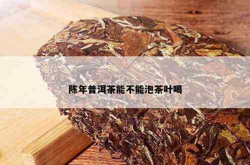 陈年普洱茶能不能泡茶叶喝