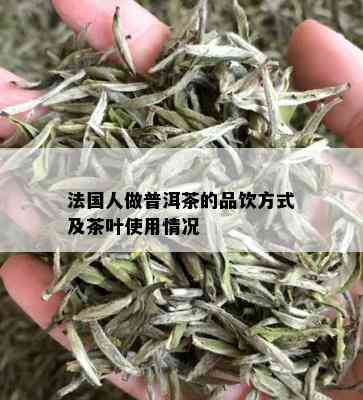 法国人做普洱茶的品饮方式及茶叶使用情况