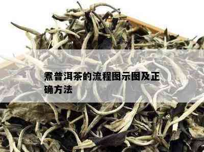 煮普洱茶的流程图示图及正确方法