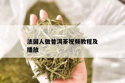 法国人做普洱茶视频教程及播放