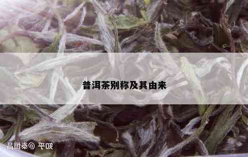 普洱茶别称及其由来