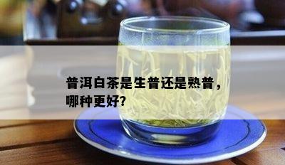 普洱白茶是生普还是熟普，哪种更好？