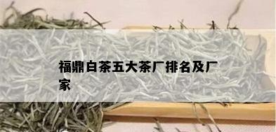 福鼎白茶五大茶厂排名及厂家