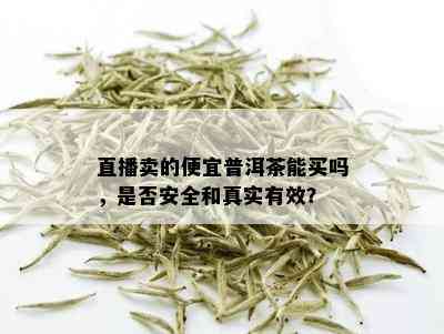 直播卖的便宜普洱茶能买吗，是否安全和真实有效？