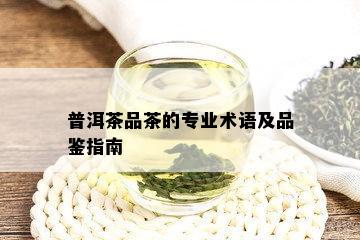 普洱茶品茶的专业术语及品鉴指南