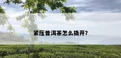 紧压普洱茶怎么撬开？