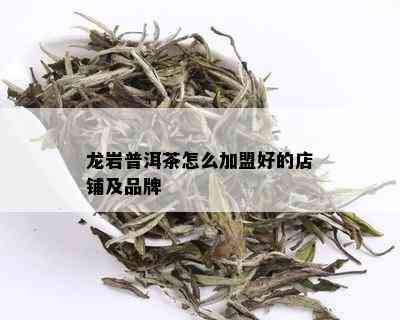 龙岩普洱茶怎么加盟好的店铺及品牌