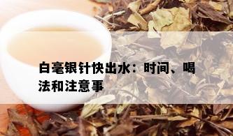 白毫银针快出水：时间、喝法和注意事