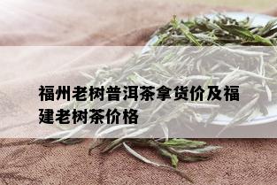 福州老树普洱茶拿货价及福建老树茶价格