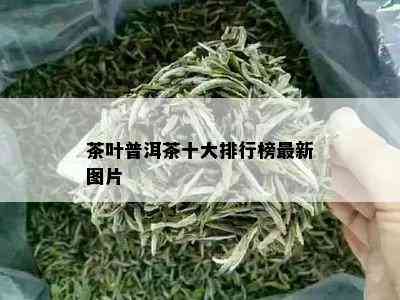 茶叶普洱茶十大排行榜最新图片