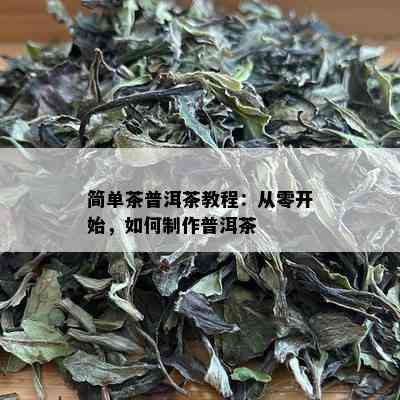 简单茶普洱茶教程：从零开始，如何制作普洱茶