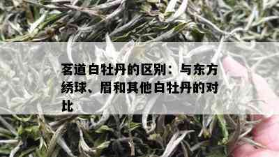 茗道白牡丹的区别：与东方绣球、眉和其他白牡丹的对比