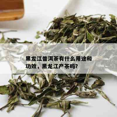 黑龙江普洱茶有什么用途和功效，黑龙江产茶吗？