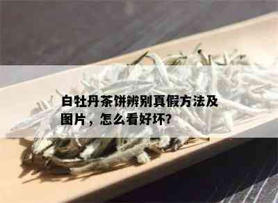 白牡丹茶饼辨别真假方法及图片，怎么看好坏？