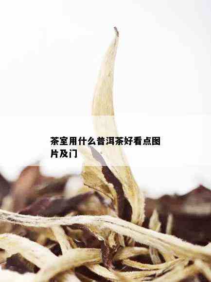 茶室用什么普洱茶好看点图片及门