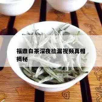 福鼎白茶深夜捡漏视频真相揭秘