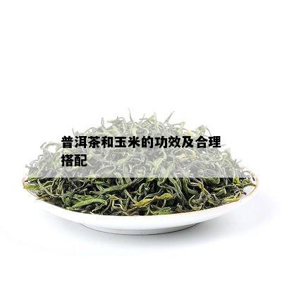 普洱茶和玉米的功效及合理搭配