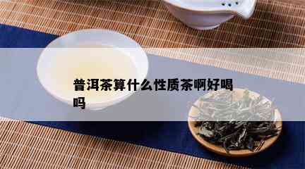 普洱茶算什么性质茶啊好喝吗