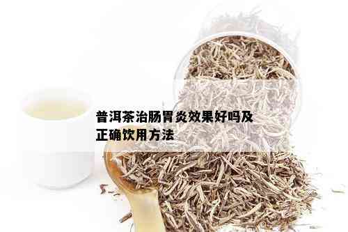 普洱茶治肠胃炎效果好吗及正确饮用方法