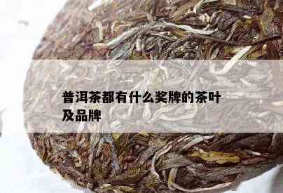 普洱茶都有什么奖牌的茶叶及品牌