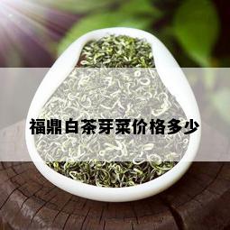 福鼎白茶芽菜价格多少