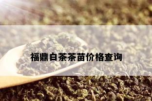 福鼎白茶茶苗价格查询