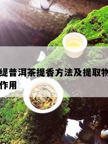 缇普洱茶提香方法及提取物作用