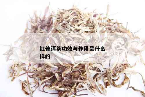 红普洱茶功效与作用是什么样的