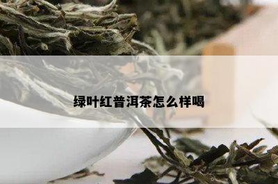 绿叶红普洱茶怎么样喝