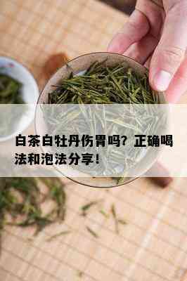 白茶白牡丹伤胃吗？正确喝法和泡法分享！