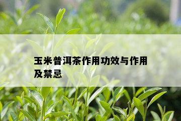 玉米普洱茶作用功效与作用及禁忌